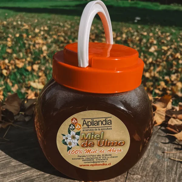 Miel Ulmo 3 kg.